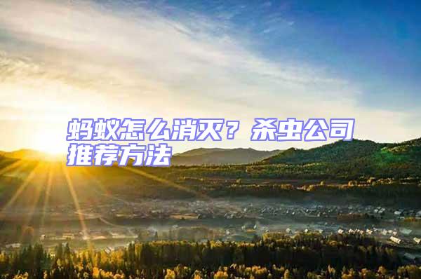 螞蟻怎么消滅？殺蟲公司推薦方法