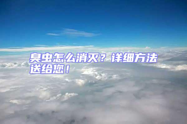 臭蟲怎么消滅？詳細方法送給您！
