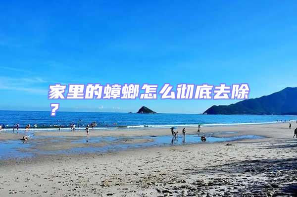 家里的蟑螂怎么徹底去除？