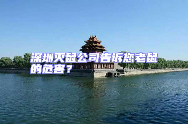 深圳滅鼠公司告訴您老鼠的危害？