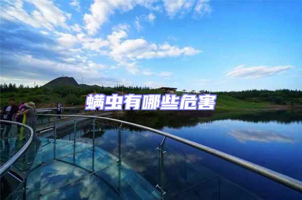 螨蟲(chóng)有哪些危害