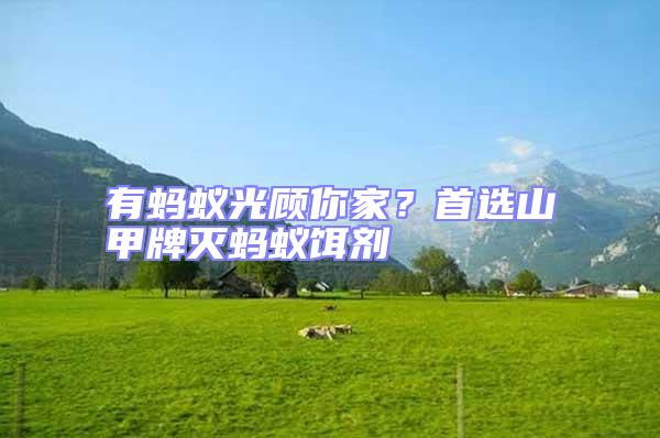 有螞蟻光顧你家？首選山甲牌滅螞蟻餌劑