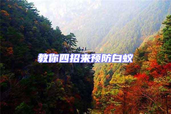 教你四招來預(yù)防白蟻