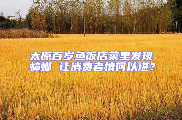 太原百歲魚飯店菜里發現蟑螂 讓消費者情何以堪？