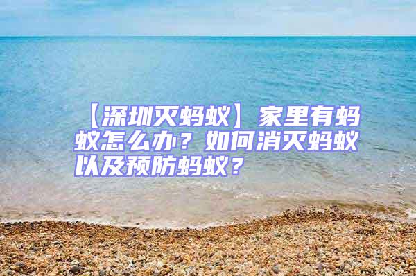 【深圳滅螞蟻】家里有螞蟻怎么辦？如何消滅螞蟻以及預(yù)防螞蟻？