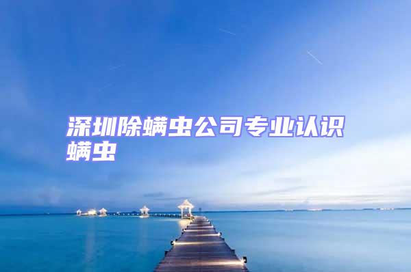 深圳除螨蟲公司專業(yè)認識螨蟲