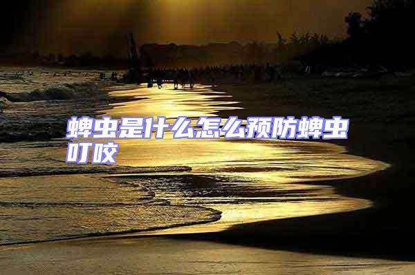 蜱蟲是什么怎么預(yù)防蜱蟲叮咬