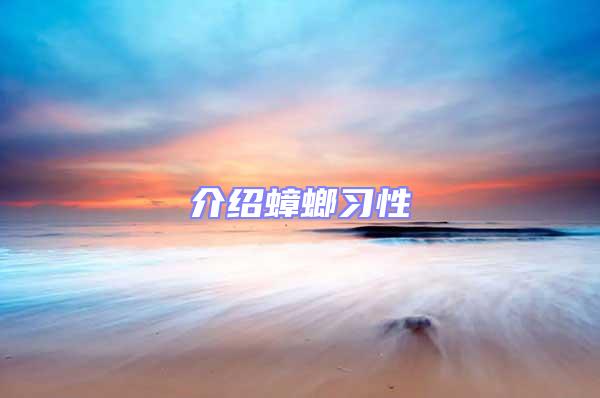 介紹蟑螂習性