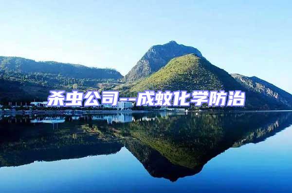 殺蟲公司--成蚊化學(xué)防治