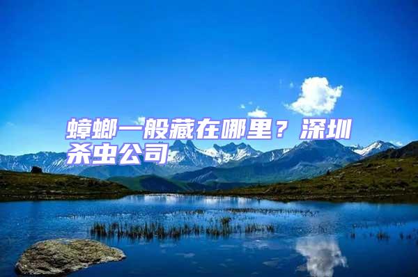蟑螂一般藏在哪里？深圳殺蟲公司