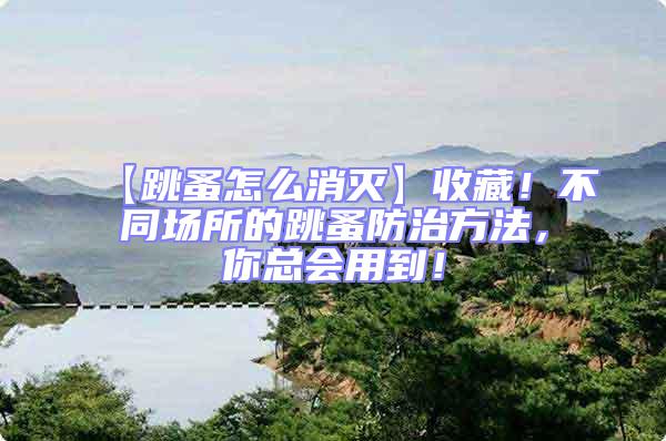 【跳蚤怎么消滅】收藏！不同場所的跳蚤防治方法，你總會用到！