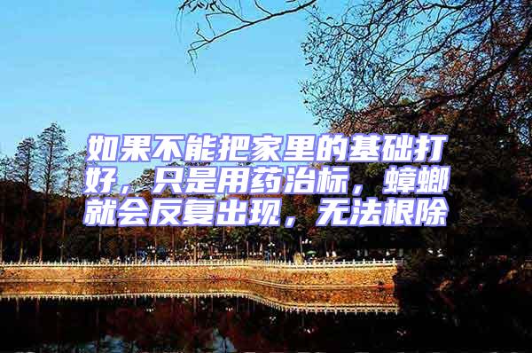 如果不能把家里的基礎打好，只是用藥治標，蟑螂就會反復出現，無法根除