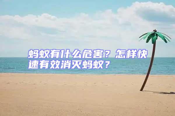 螞蟻有什么危害？怎樣快速有效消滅螞蟻？