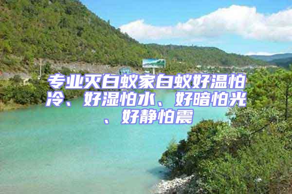 專業(yè)滅白蟻家白蟻好溫怕冷、好濕怕水、好暗怕光、好靜怕震