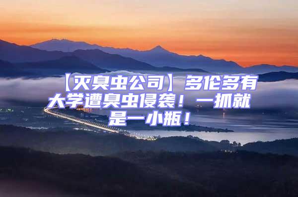 【滅臭蟲公司】多倫多有大學(xué)遭臭蟲侵襲！一抓就是一小瓶！
