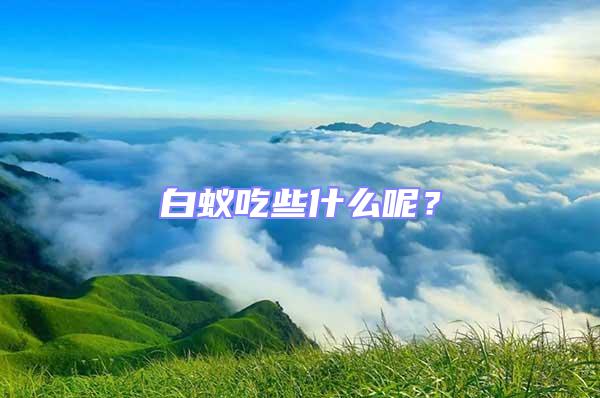 白蟻吃些什么呢？
