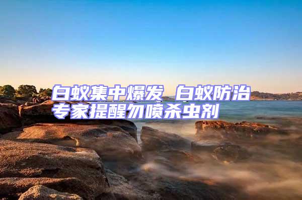 白蟻集中爆發(fā) 白蟻防治專家提醒勿噴殺蟲劑