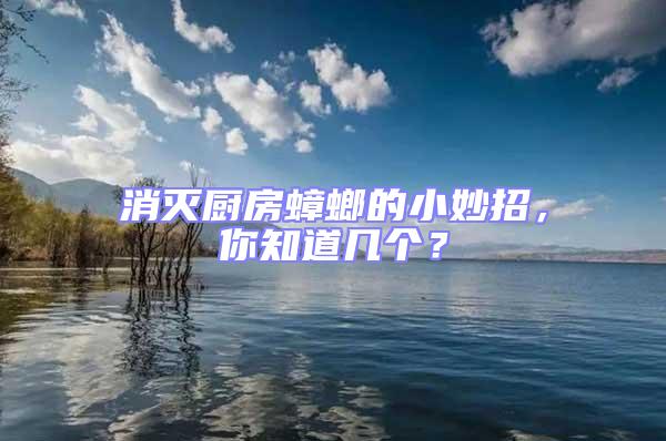 消滅廚房蟑螂的小妙招，你知道幾個(gè)？