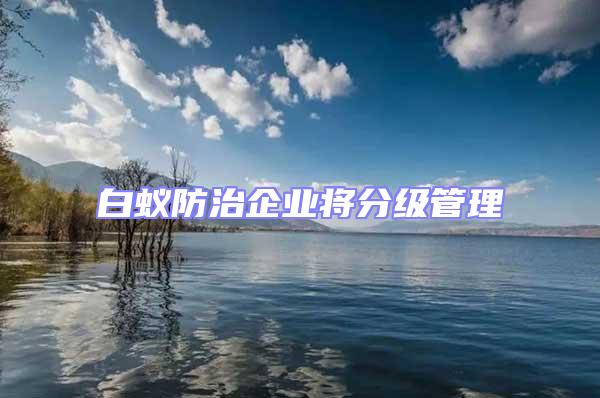 白蟻防治企業(yè)將分級(jí)管理