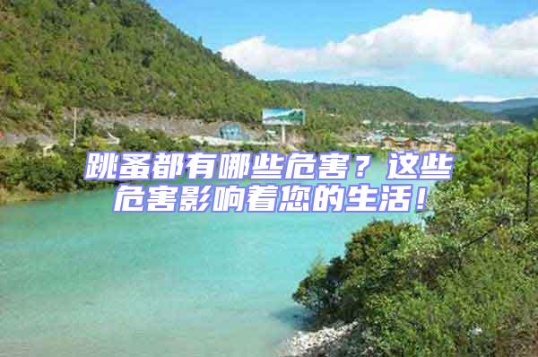 跳蚤都有哪些危害？這些危害影響著您的生活！