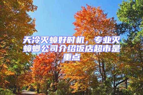 天冷滅蟑好時(shí)機(jī)，專業(yè)滅蟑螂公司介紹飯店超市是重點(diǎn)