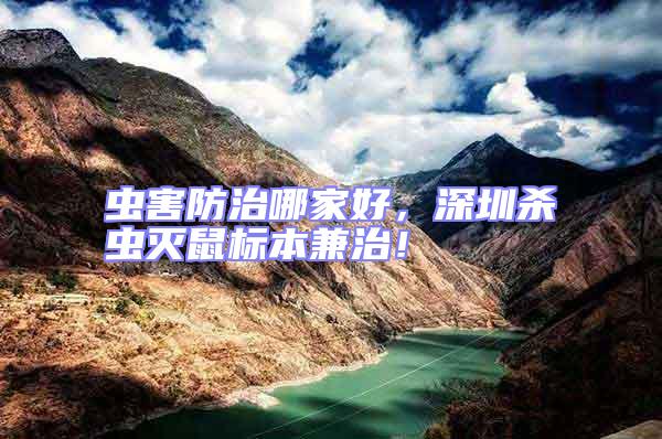 蟲害防治哪家好，深圳殺蟲滅鼠標本兼治！