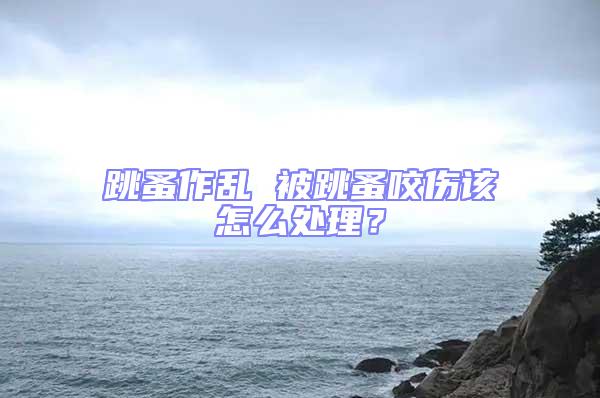 跳蚤作亂 被跳蚤咬傷該怎么處理？