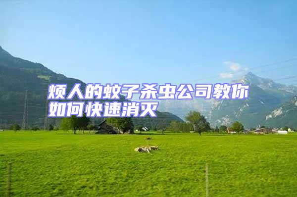 煩人的蚊子殺蟲(chóng)公司教你如何快速消滅