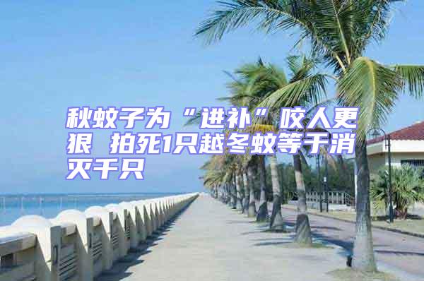 秋蚊子為“進補”咬人更狠 拍死1只越冬蚊等于消滅千只