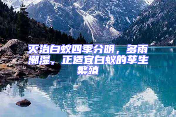 滅治白蟻四季分明，多雨潮濕，正適宜白蟻的孳生繁殖