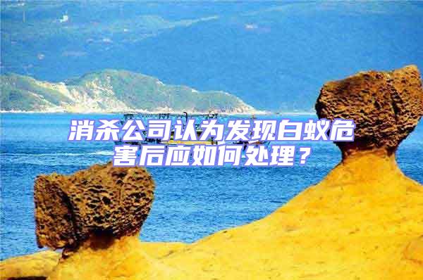 消殺公司認為發現白蟻危害后應如何處理？