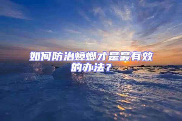 如何防治蟑螂才是最有效的辦法？
