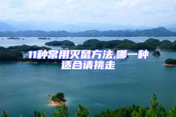 11種常用滅鼠方法,哪一種適合請挑走