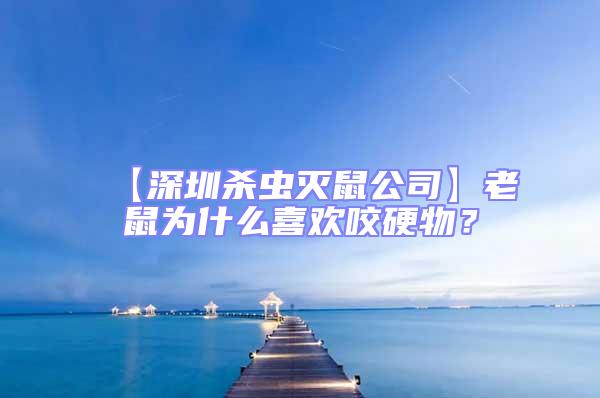 【深圳殺蟲滅鼠公司】老鼠為什么喜歡咬硬物？