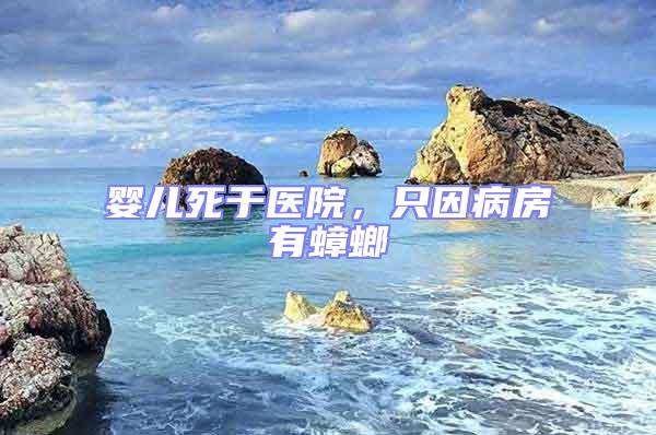 嬰兒死于醫院，只因病房有蟑螂