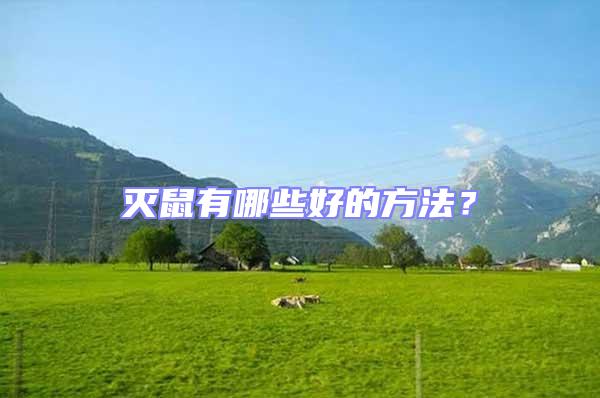 滅鼠有哪些好的方法？