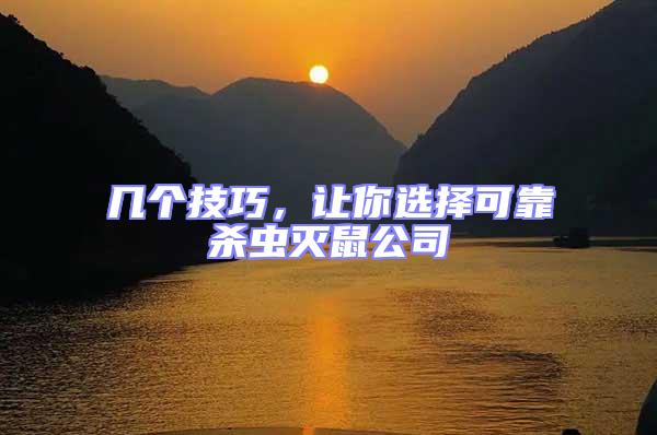 幾個技巧，讓你選擇可靠殺蟲滅鼠公司