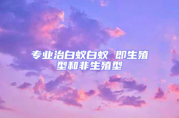 專業(yè)治白蟻白蟻 即生殖型和非生殖型