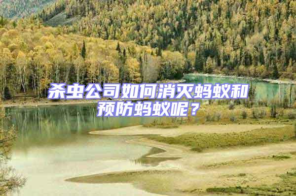 殺蟲公司如何消滅螞蟻和預防螞蟻呢？