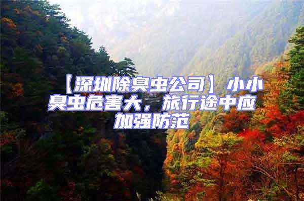 【深圳除臭蟲公司】小小臭蟲危害大，旅行途中應加強防范