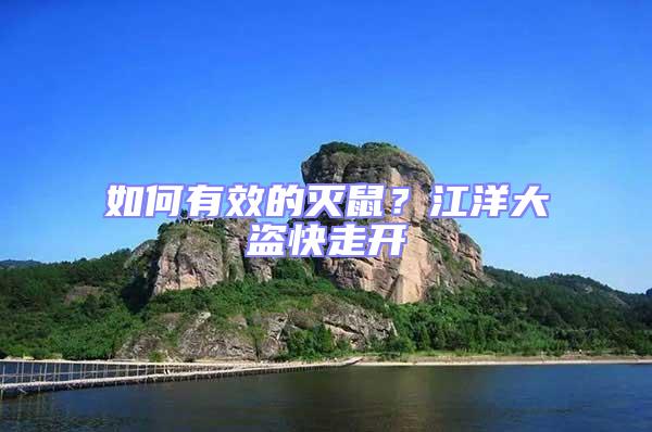 如何有效的滅鼠？江洋大盜快走開