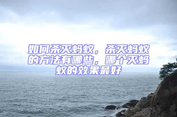如何殺滅螞蟻，殺滅螞蟻的方法有哪些，哪個滅螞蟻的效果最好