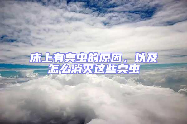 床上有臭蟲(chóng)的原因，以及怎么消滅這些臭蟲(chóng)