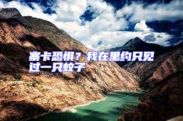 寨卡恐懼？我在里約只見過一只蚊子