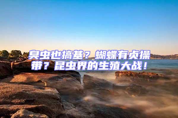 臭蟲也搞基？蝴蝶有貞操帶？昆蟲界的生殖大戰！