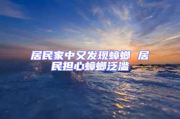 居民家中又發(fā)現(xiàn)蟑螂 居民擔(dān)心蟑螂泛濫