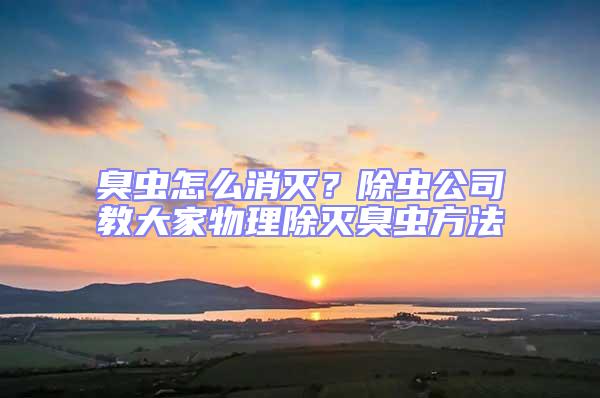 臭蟲怎么消滅？除蟲公司教大家物理除滅臭蟲方法