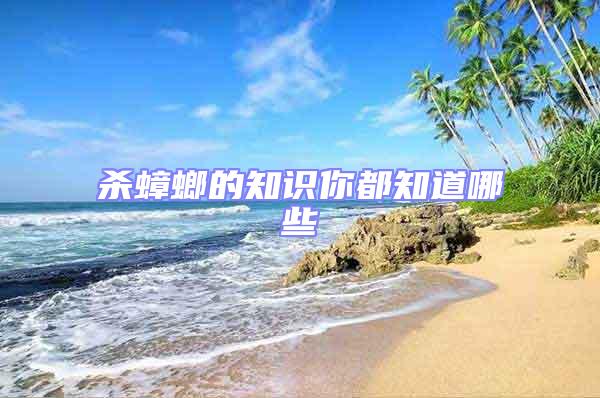 殺蟑螂的知識(shí)你都知道哪些