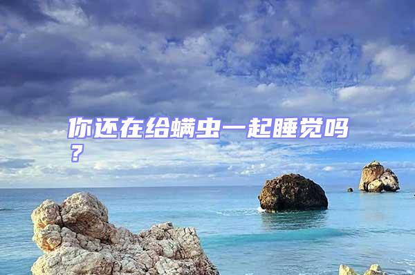 你還在給螨蟲一起睡覺嗎？
