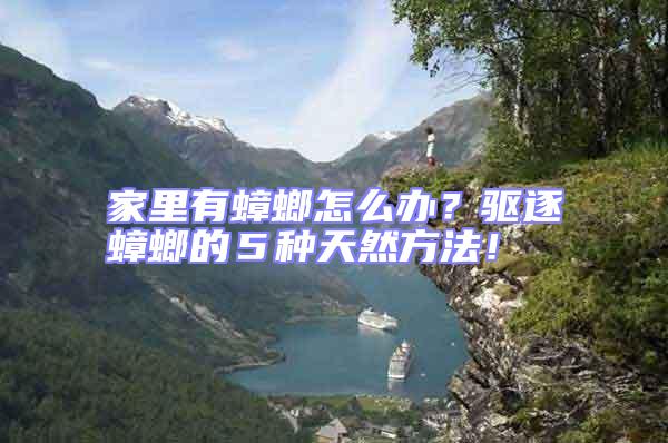家里有蟑螂怎么辦？驅逐蟑螂的５種天然方法！